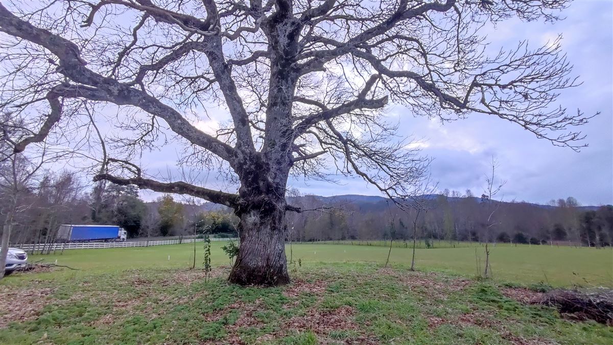 Venta Parcela Gorbea - La Araucanía