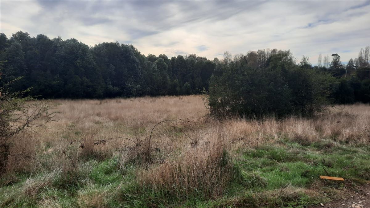 Venta Parcela Villarrica - La Araucanía