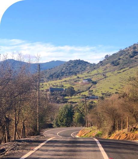 Venta Parcela Pencahue - Maule