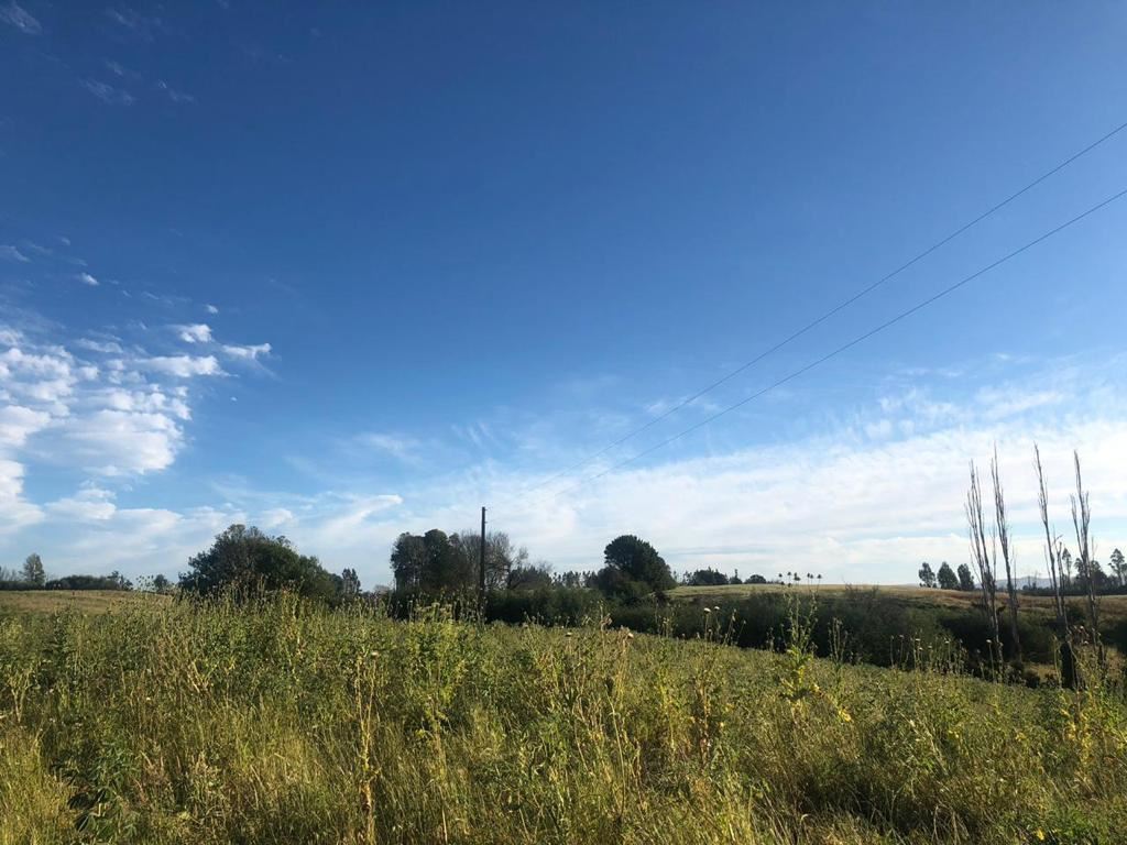 Venta Parcela Nueva imperial - La Araucanía