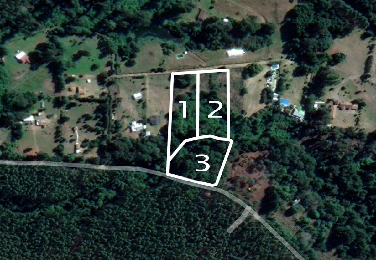 Venta Parcela Freire - La Araucanía