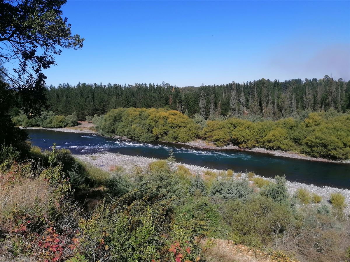 Venta Parcela Freire - La Araucanía