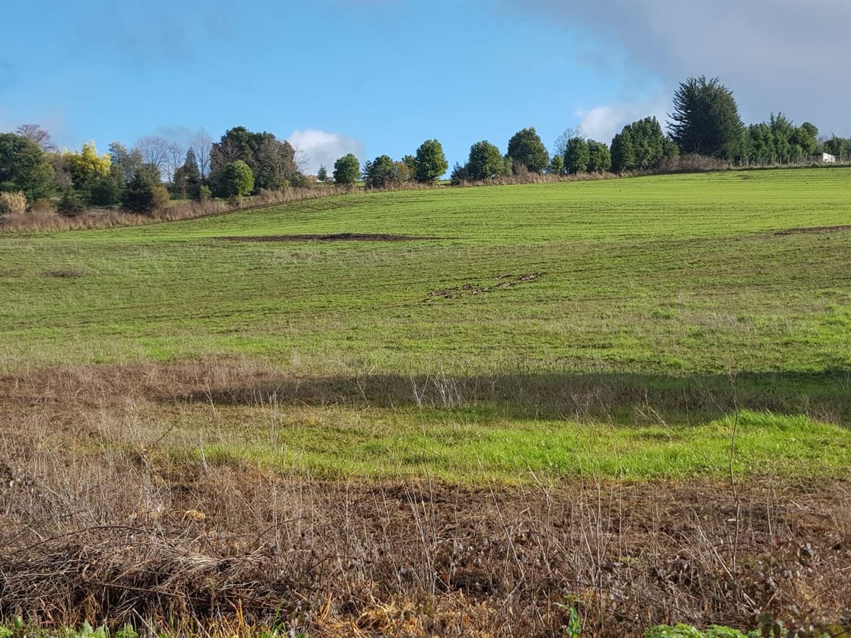 Venta Parcela Temuco - La Araucanía