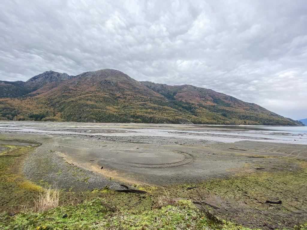 Venta Parcela Cunco - La Araucanía