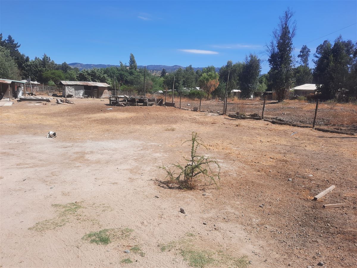 Venta Sitio Molina - Maule