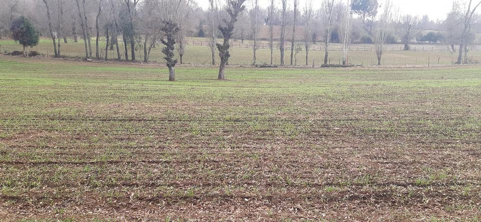 Venta Sitio San Ignacio - Ñuble