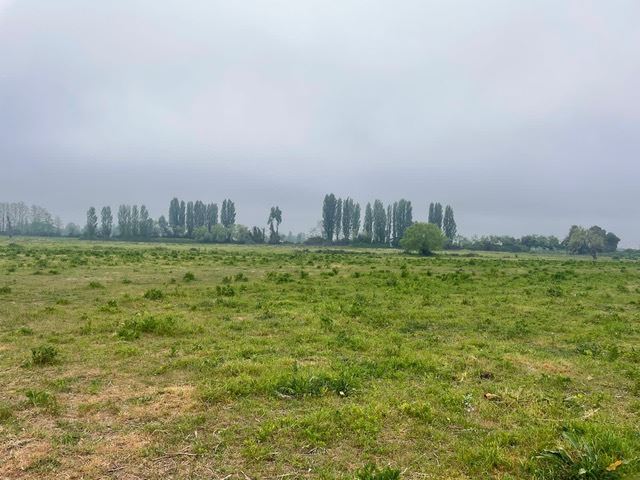 Venta Sitio Retiro - Maule