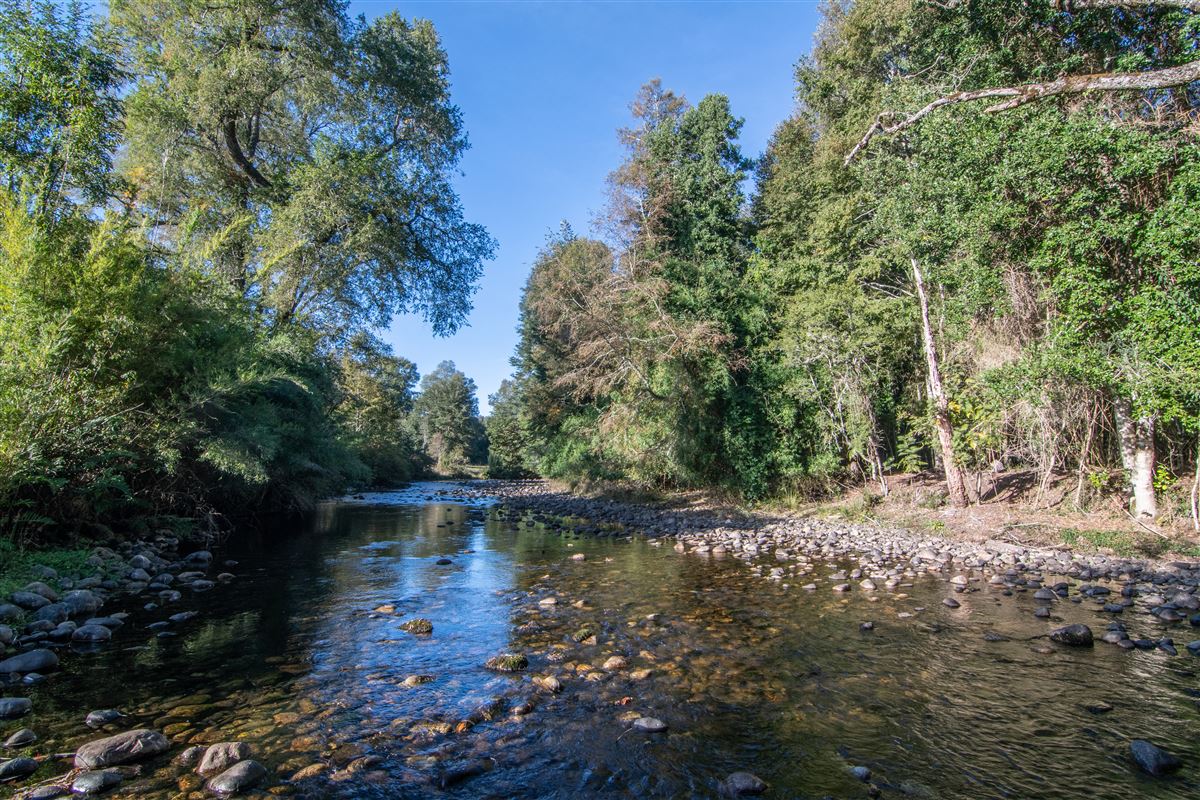 Venta Parcela Panguipulli - Los Ríos