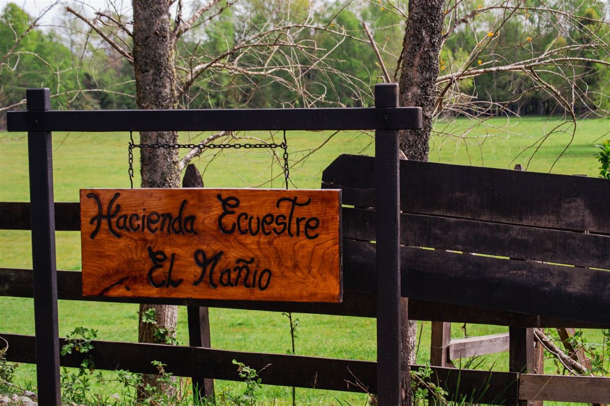 Venta Parcela Panguipulli - Los Ríos