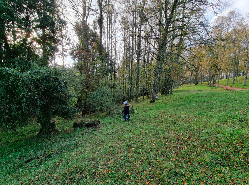 Venta Parcela Lago Ranco - Los Ríos