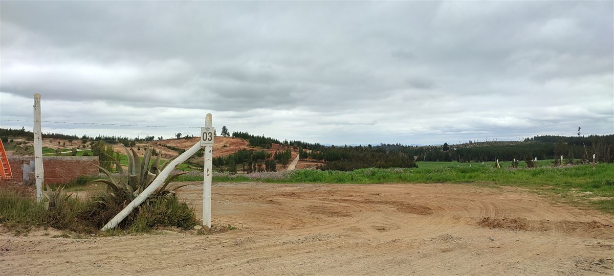 Venta Sitio Cauquenes - Maule
