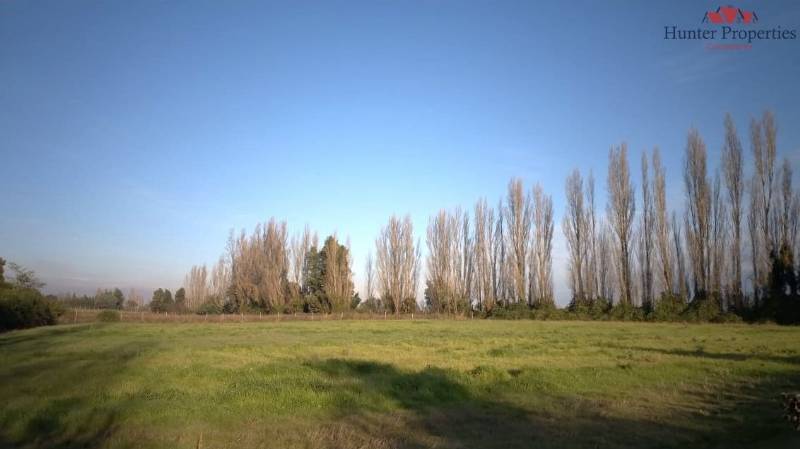 Venta Parcela El carmen - Ñuble
