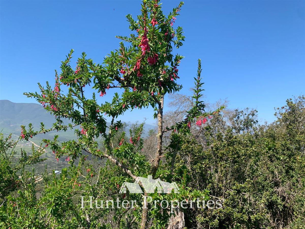 Venta Agrícola La Ligua - Valparaíso