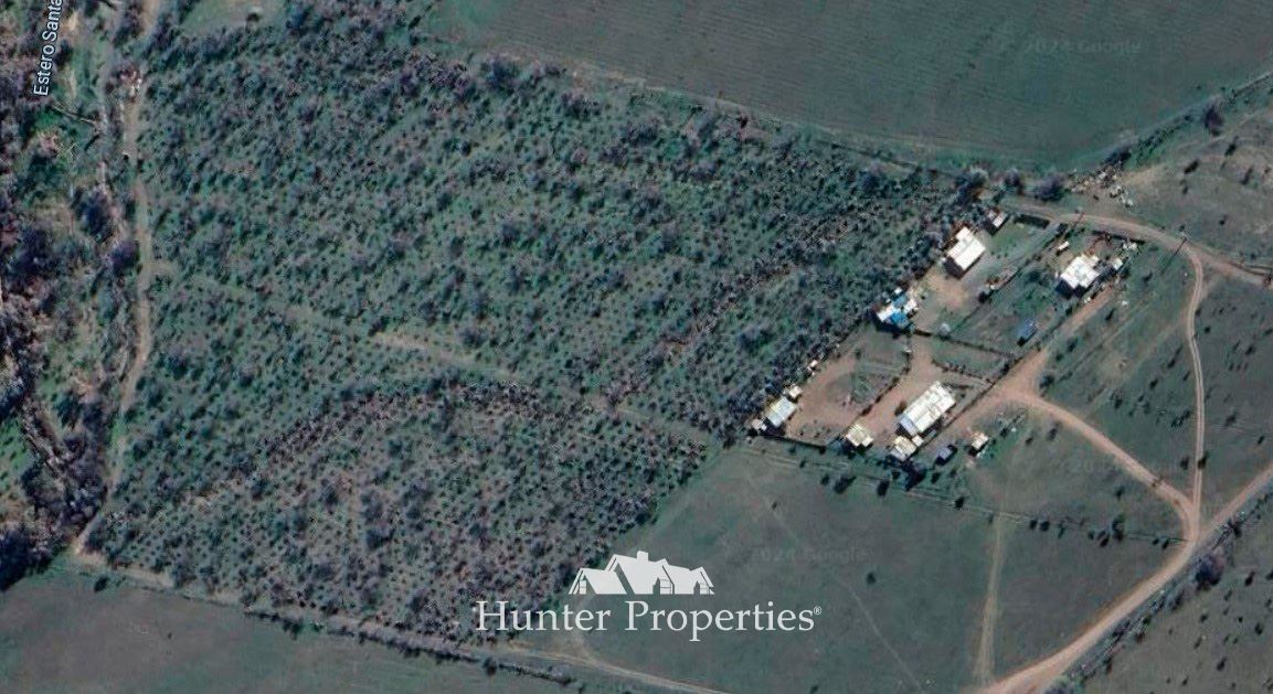 Venta Agrícola Colina - Región Metropolitana