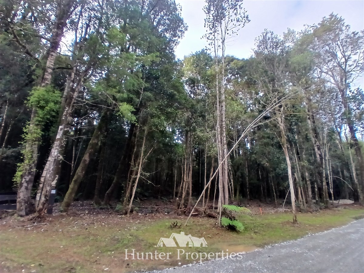 Venta Parcela Puerto Varas - Los Lagos