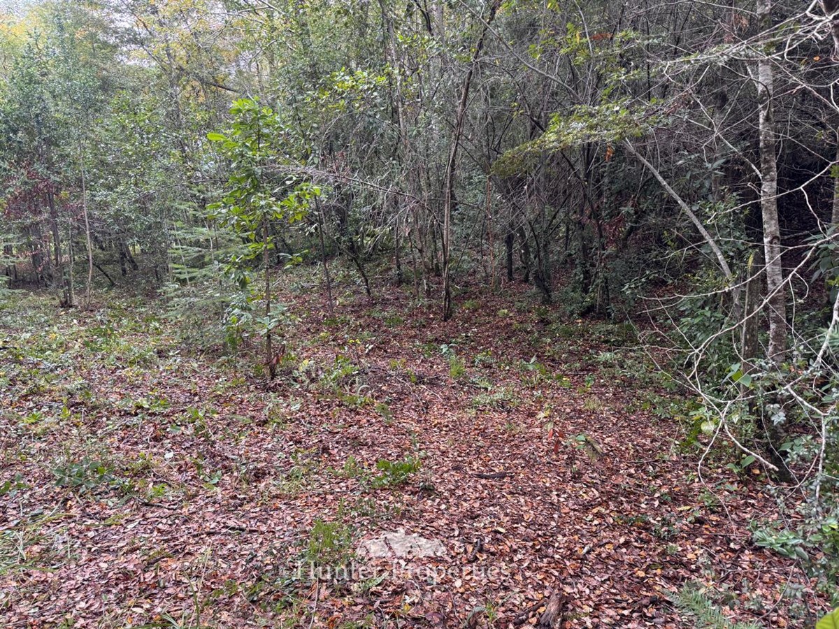 Venta Parcela Pucón - La Araucanía