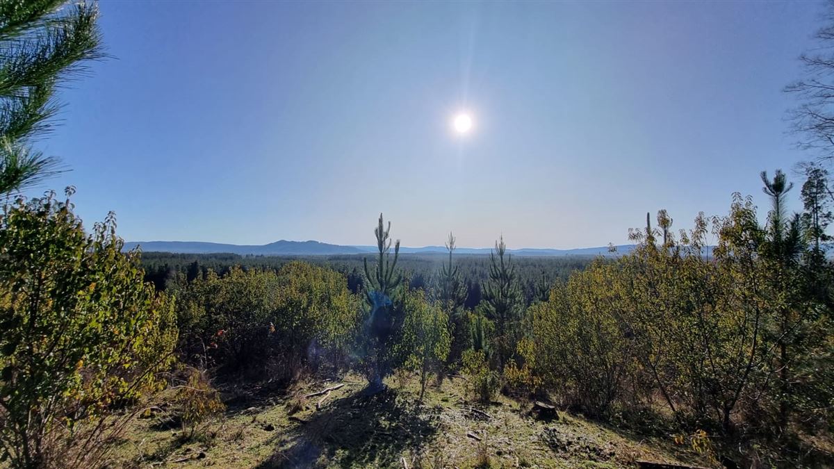 Venta Agrícola Los Lagos - Los Ríos
