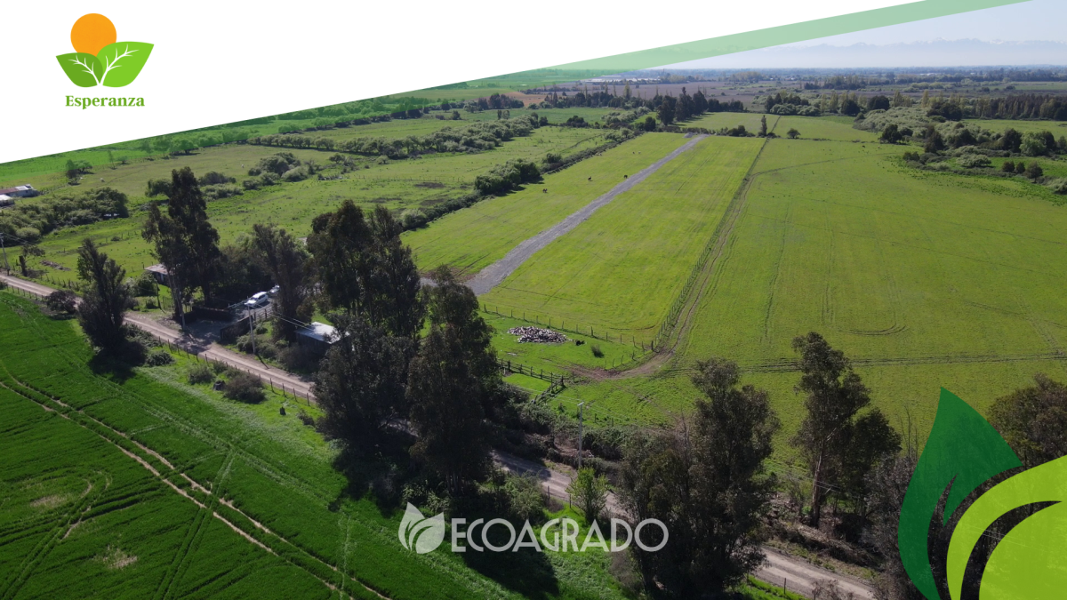 Venta Parcela San carlos - Ñuble