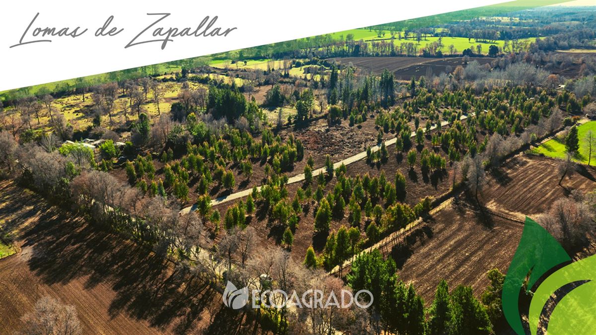 Venta Parcela San ignacio - Ñuble