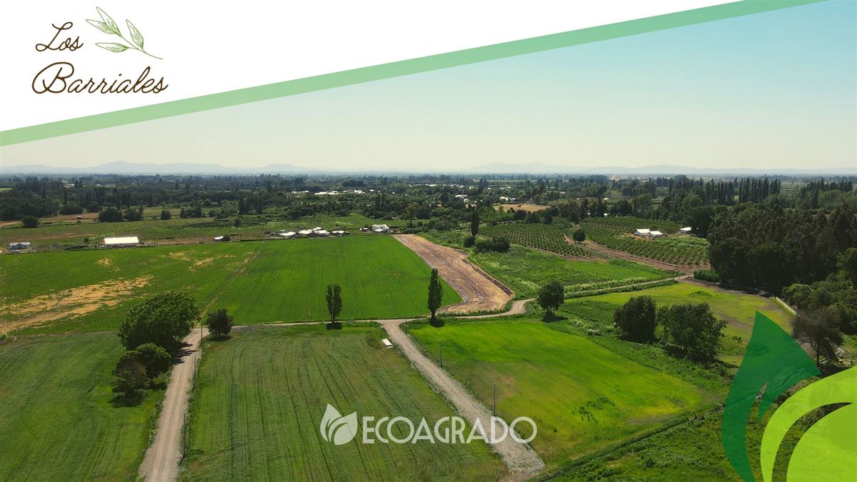 Venta Parcela Chillán - Ñuble
