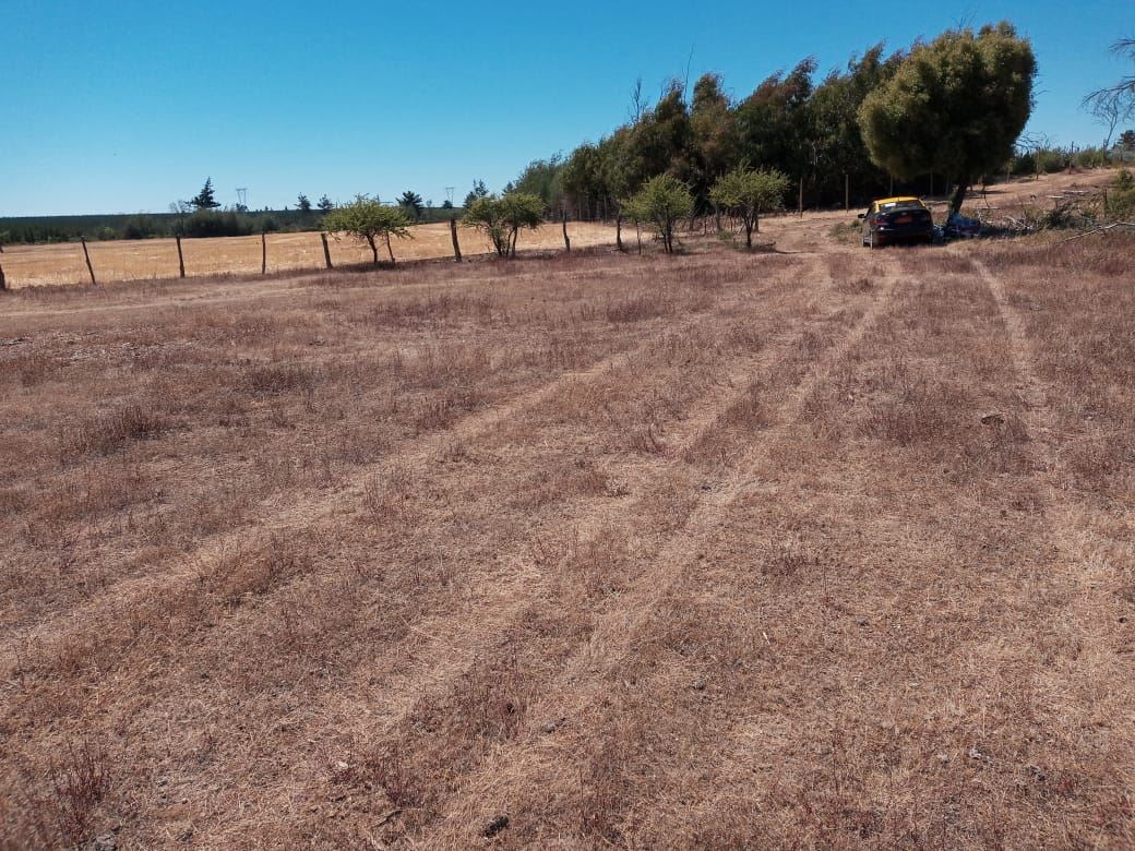 Venta Sitio Parral - Maule