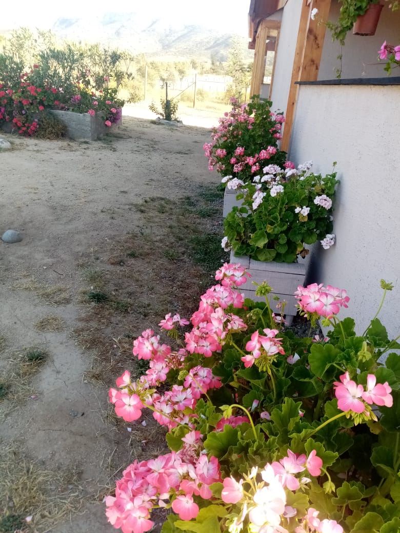 Venta Parcela Zapallar - Valparaíso