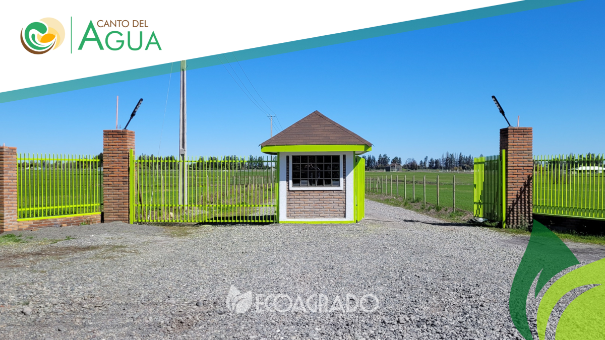 Venta Parcela Chillán - Ñuble