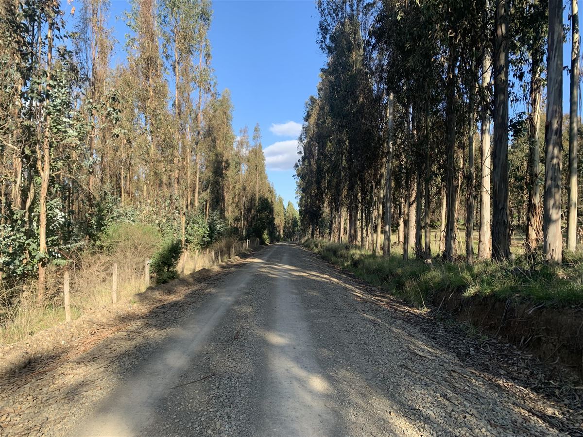 Venta Agrícola Angol - La Araucanía