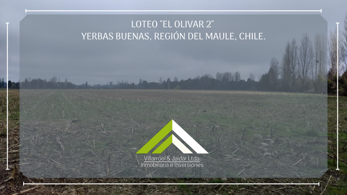 Venta Parcela Villa alegre - Maule