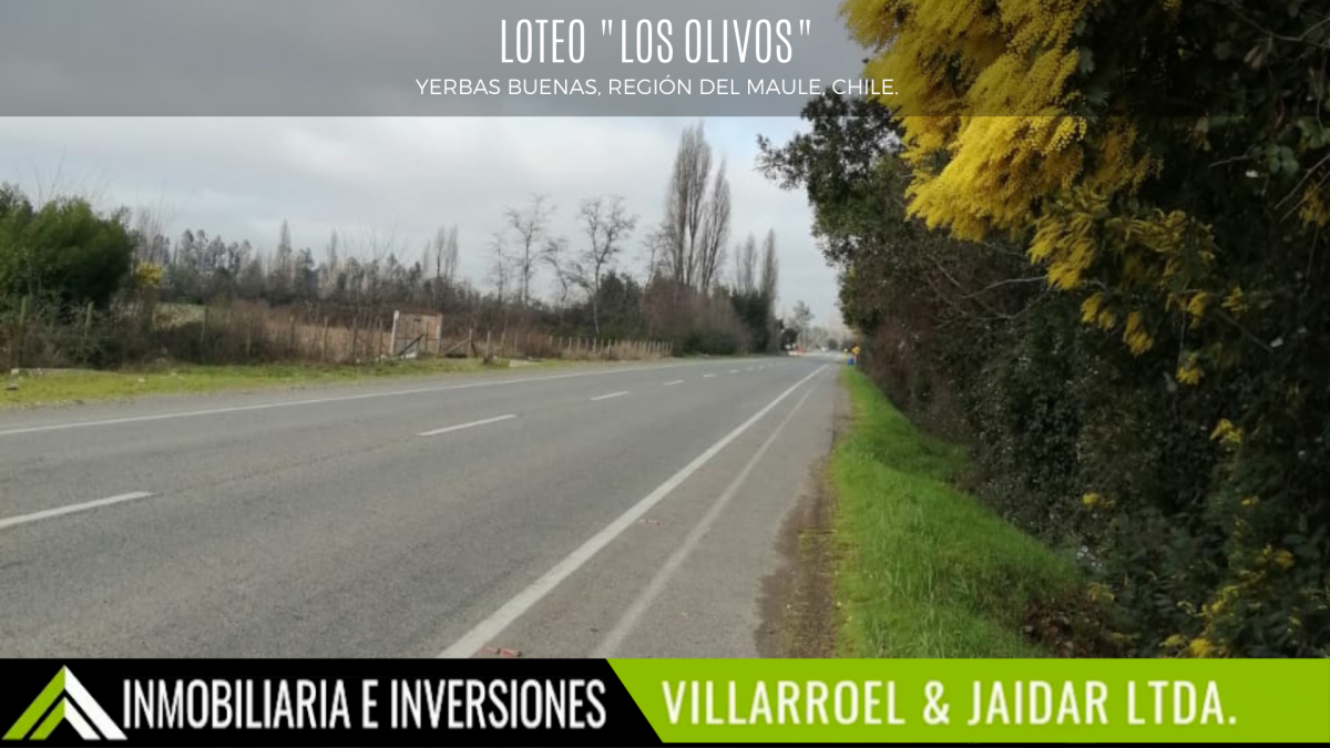 Venta Parcela Yerbas buenas - Maule