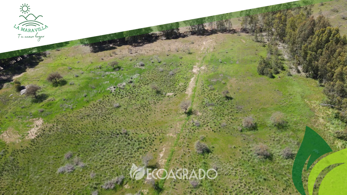 Venta Parcela San nicolás - Ñuble