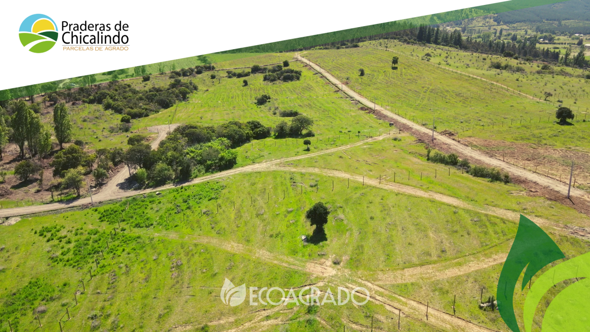 Venta Parcela San nicolás - Ñuble