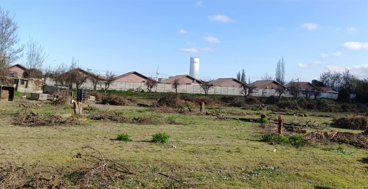 Venta Parcela Olivar - O'Higgins