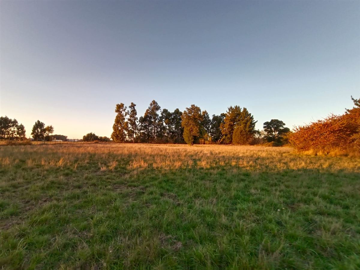 Venta Parcela Vilcún - La Araucanía