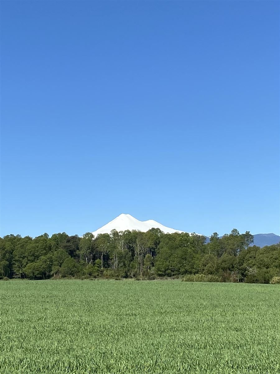Venta Parcela Vilcún - La Araucanía