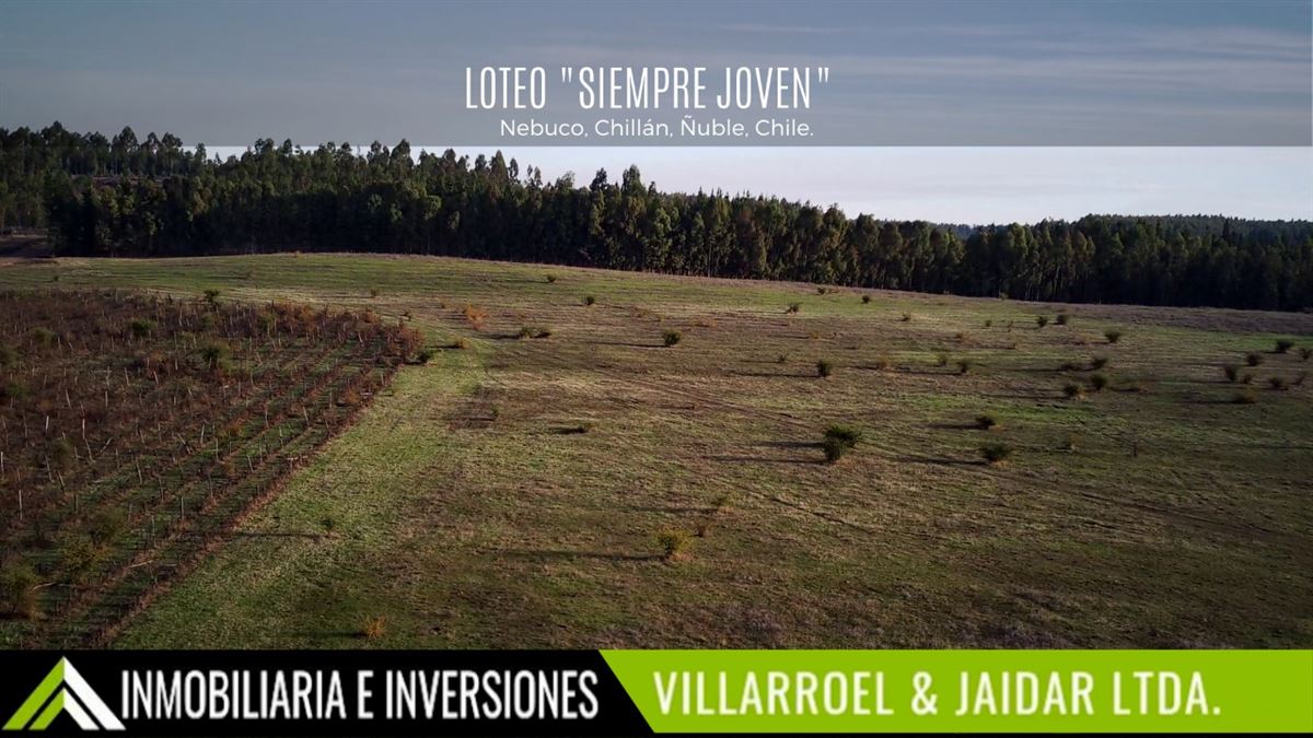 Venta Parcela Chillan viejo - Ñuble
