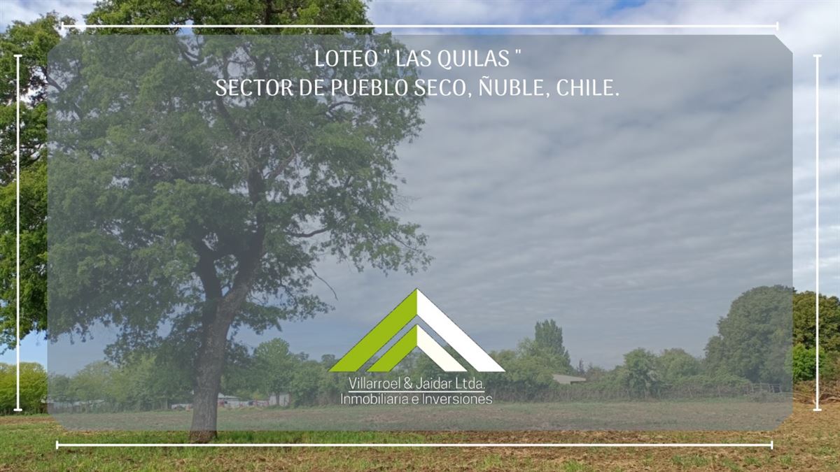 Venta Parcela El carmen - Ñuble