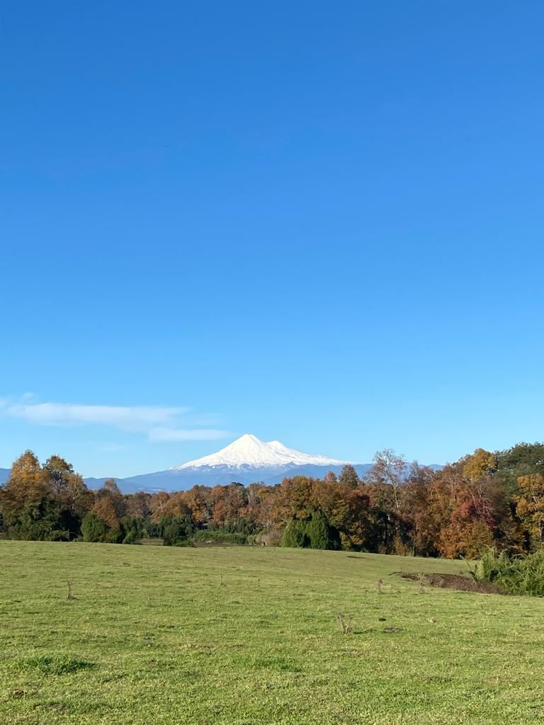Venta Parcela Vilcún - La Araucanía