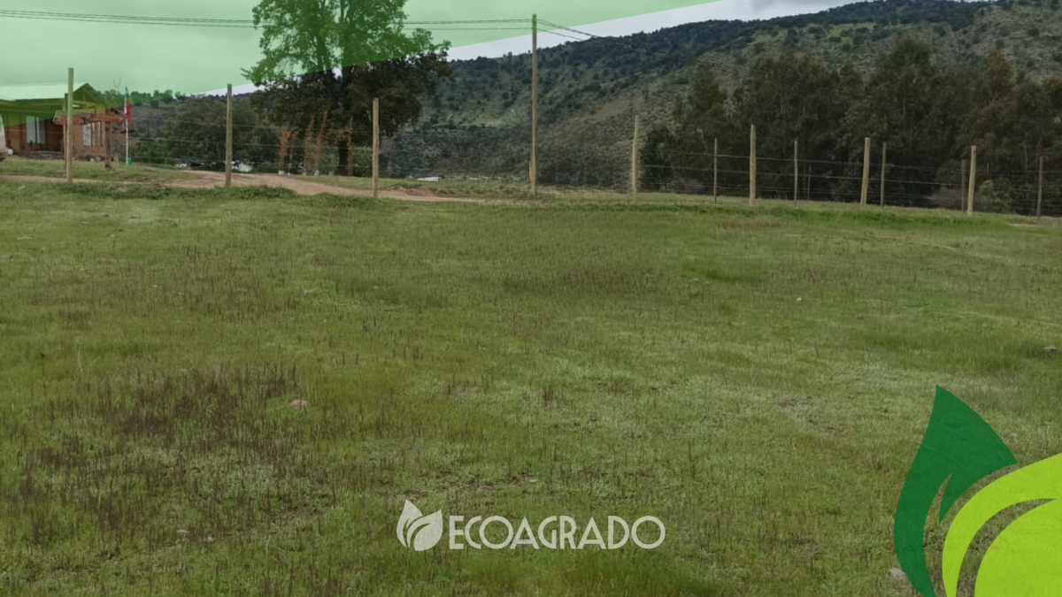 Venta Parcela Rauco - Maule