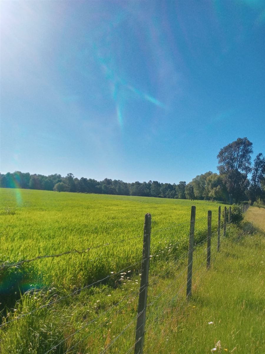 Venta Parcela Panguipulli - Los Ríos