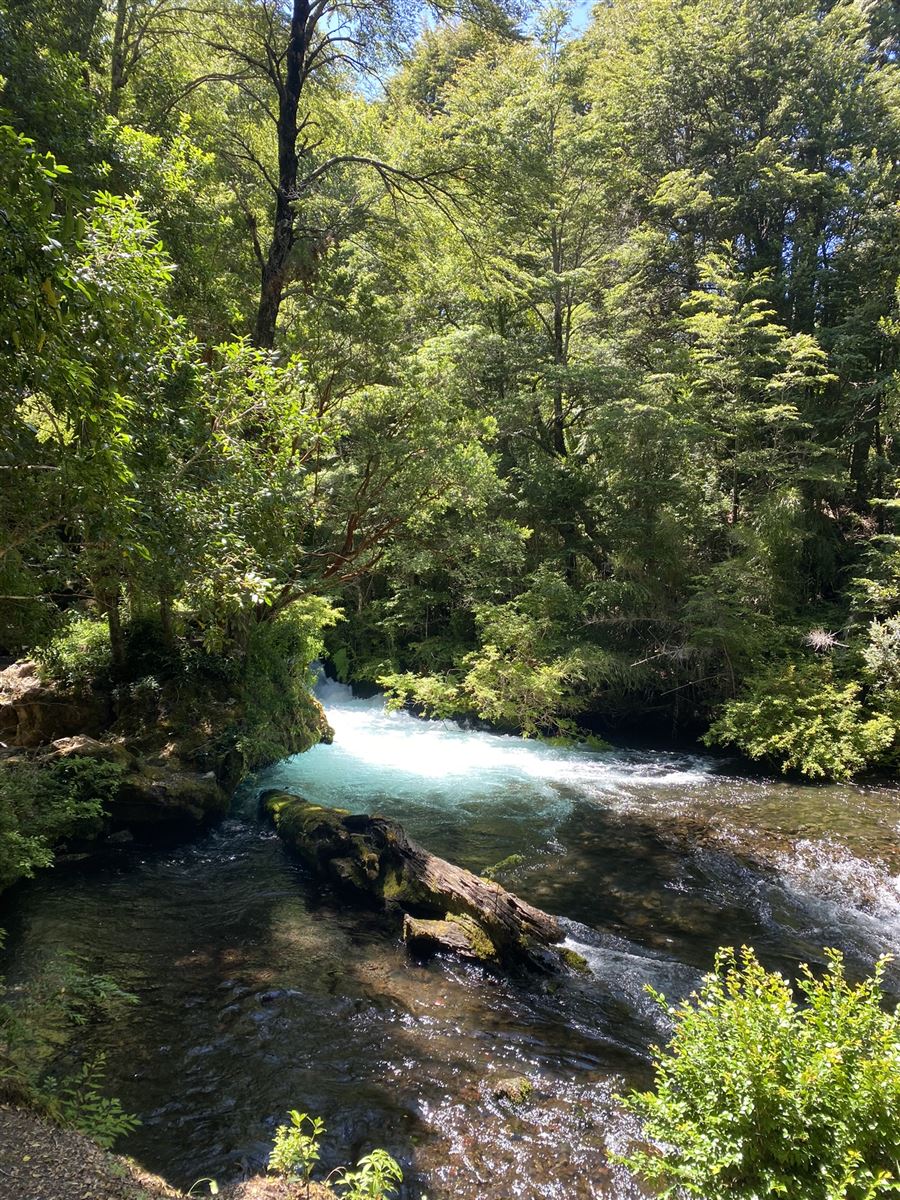 Venta Parcela Vilcún - La Araucanía