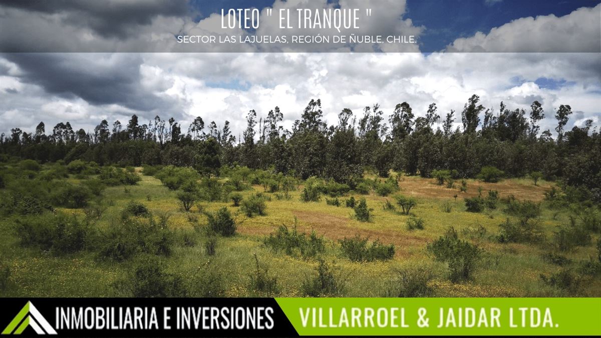 Venta Parcela Chillan viejo - Ñuble