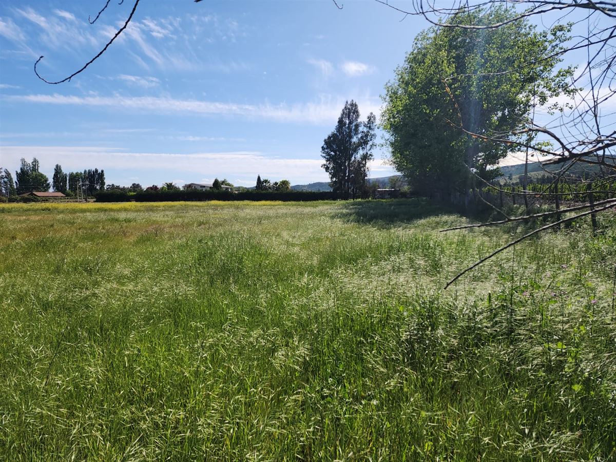 Venta Parcela Las cabras - O'Higgins