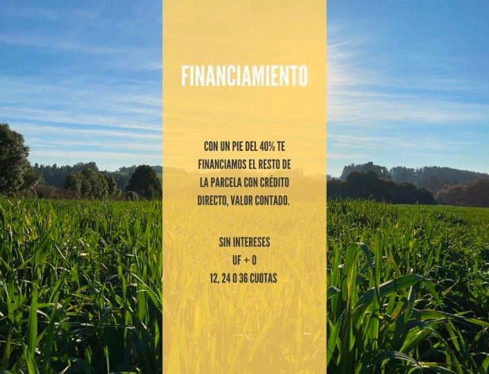 Venta Agrícola Vilcún - La Araucanía