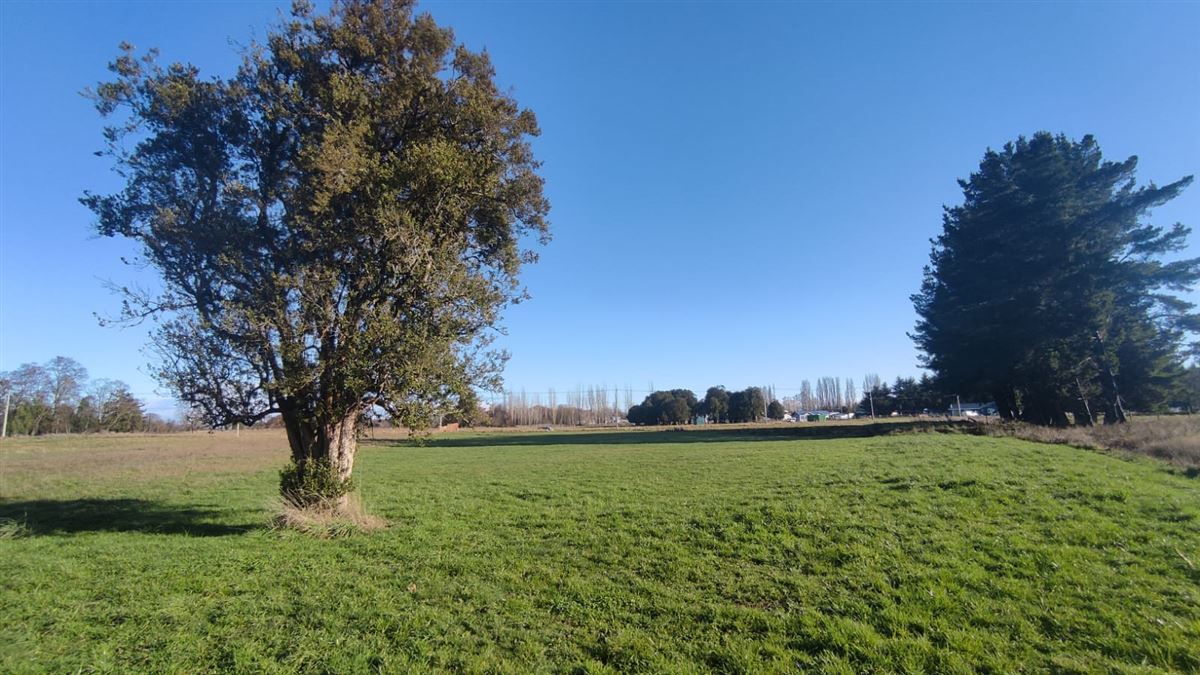 Venta Parcela Osorno - Los Lagos