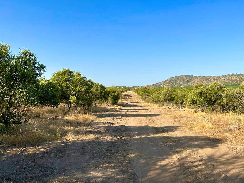 Venta Parcela Marchigüe - O'Higgins