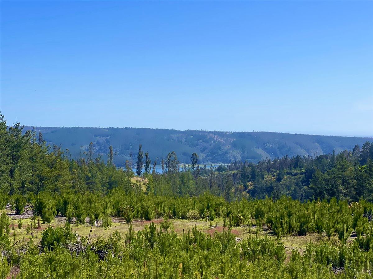 Venta Parcela Pichilemu - O'Higgins