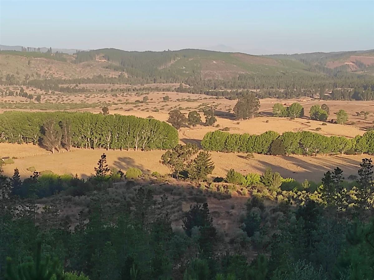 Venta Parcela Vichuquén - Maule