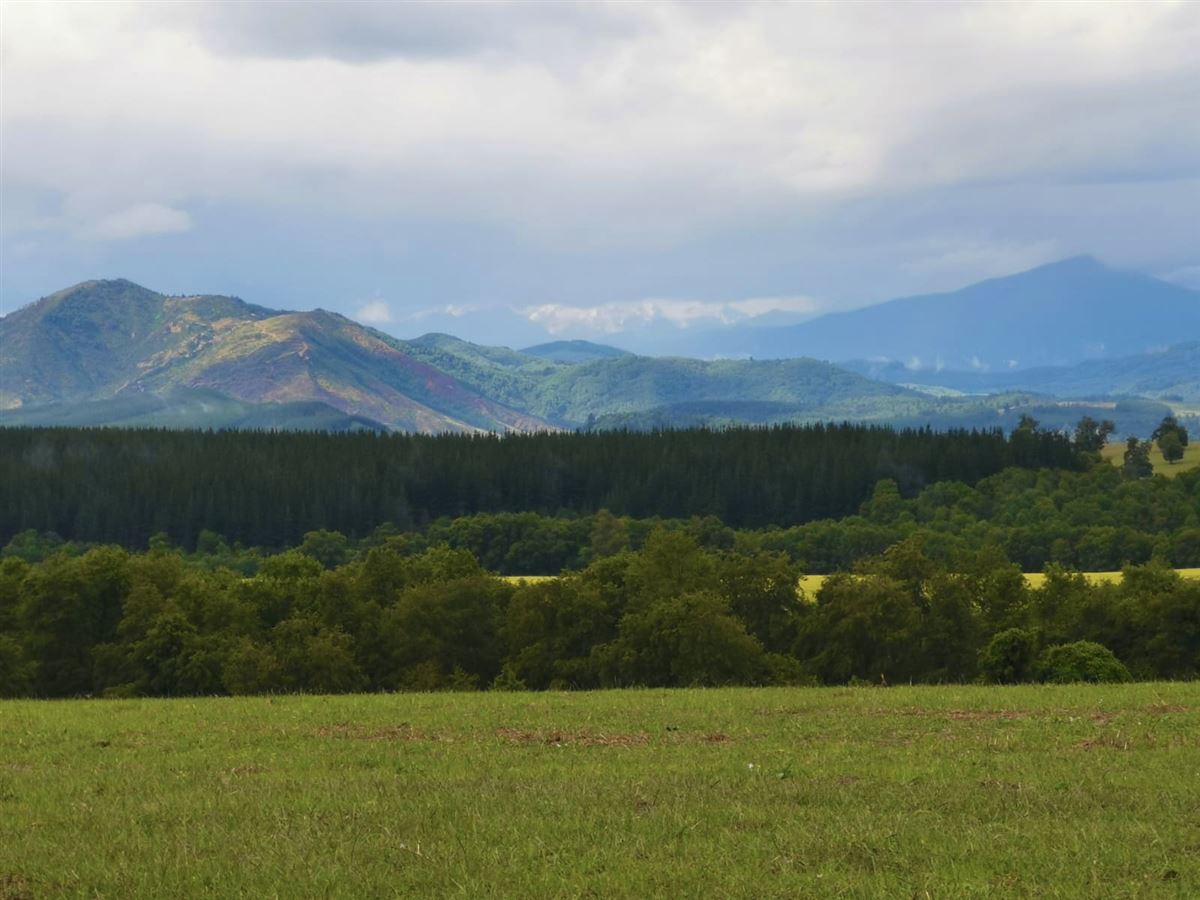 Venta Parcela Ñiquén - Ñuble