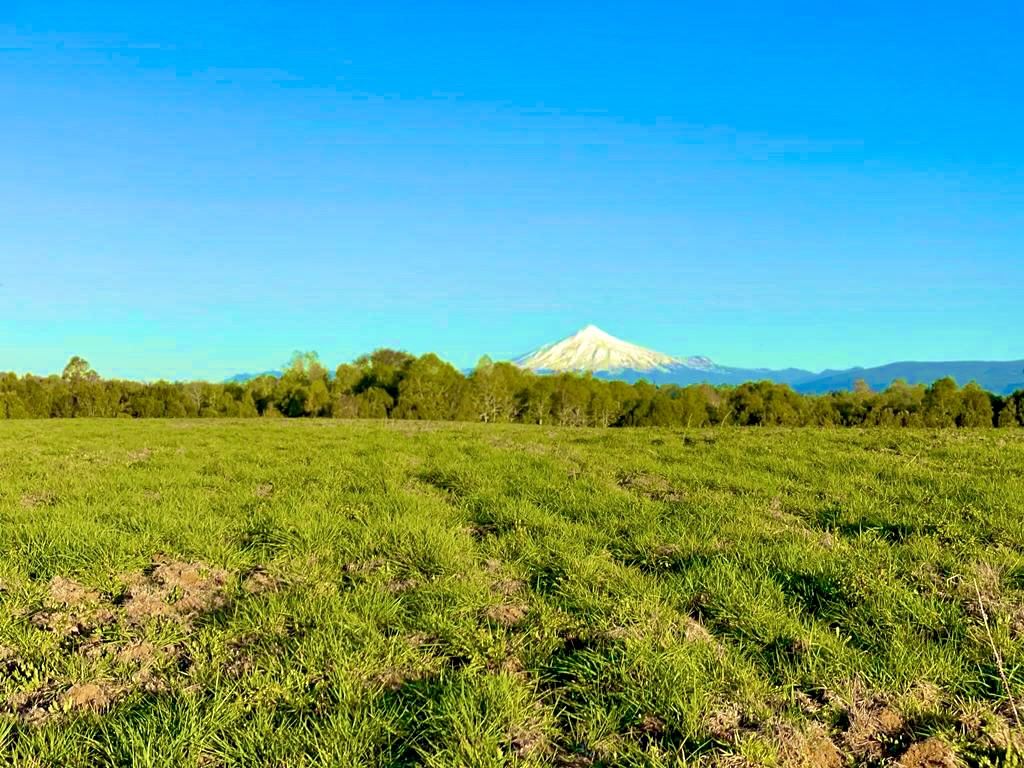 Venta Parcela Gorbea - La Araucanía